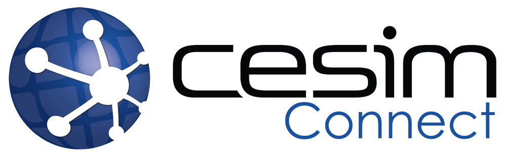 Cesim Connect telecom operator simulation game