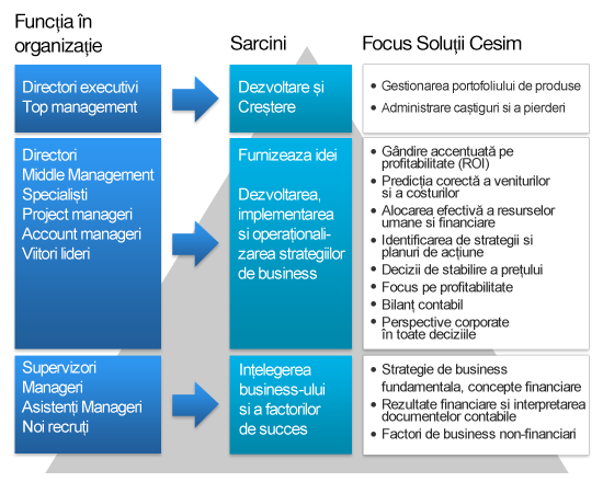 Cesim Corporate Solutions