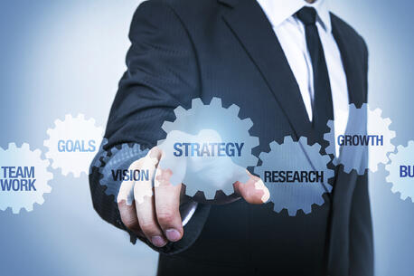 Cesim Strategic Management International Business Simulation