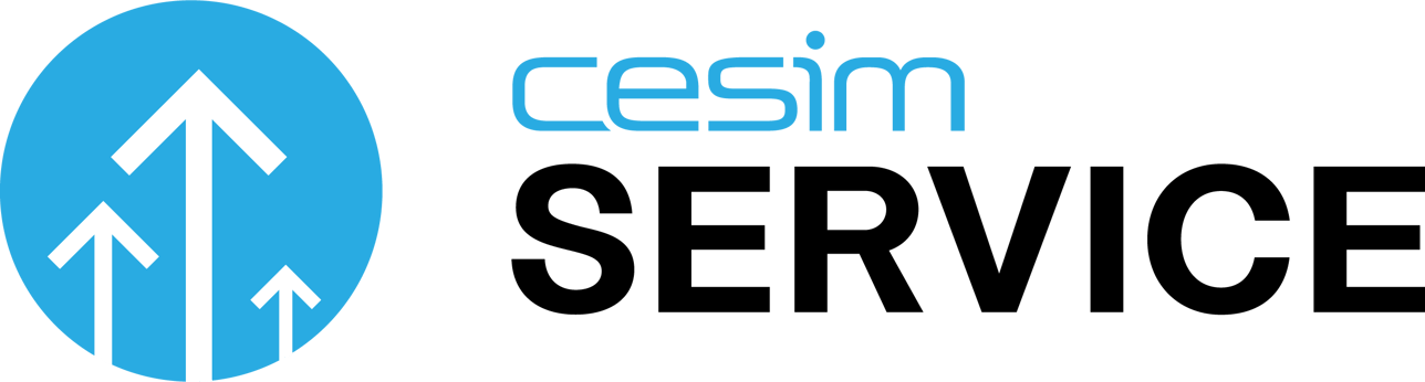 Cesim simulation essay picture