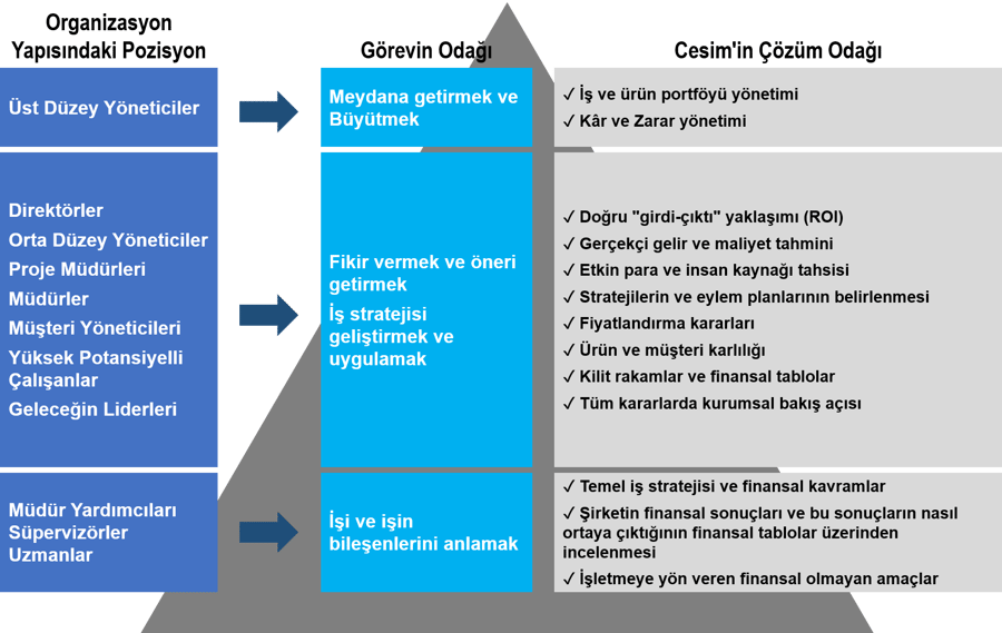 Kurumsal Organizasyonlar için Cesim Çözümleri