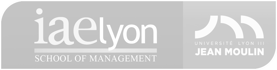 IAE Lyon logo horizontal light gray