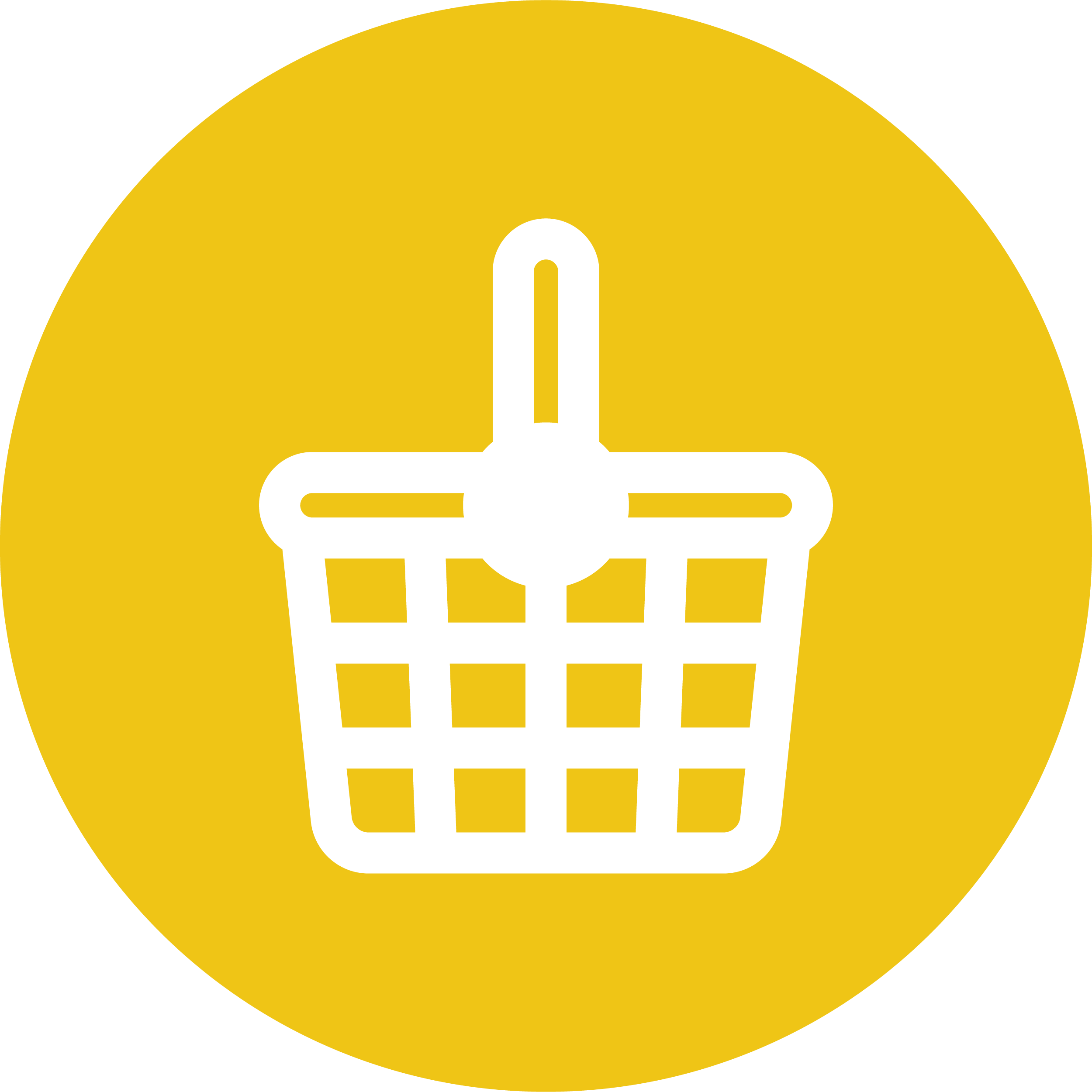 Cesim Local Business